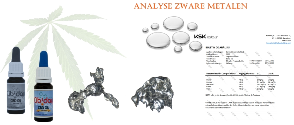 Analyse Verontreiniging Zware Metalen