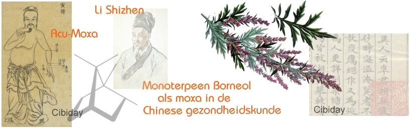 Borneol moxa bijvoet