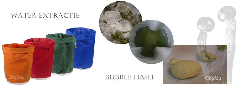 Bubble Hash Water Extractie