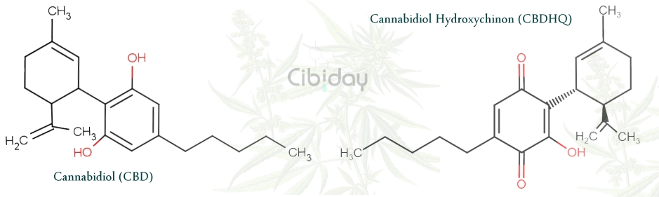 Cannabidiol Hydroxychinon