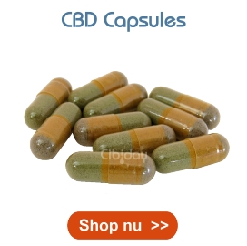 CBD Capsules Cibiday