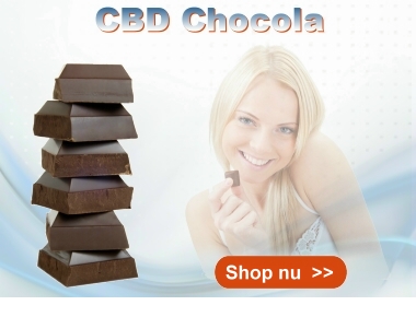CBD Chocola Cibiday