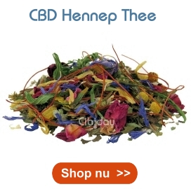 CBD Hennep Thee Cibiday