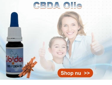 CBDA Olie Cibiday