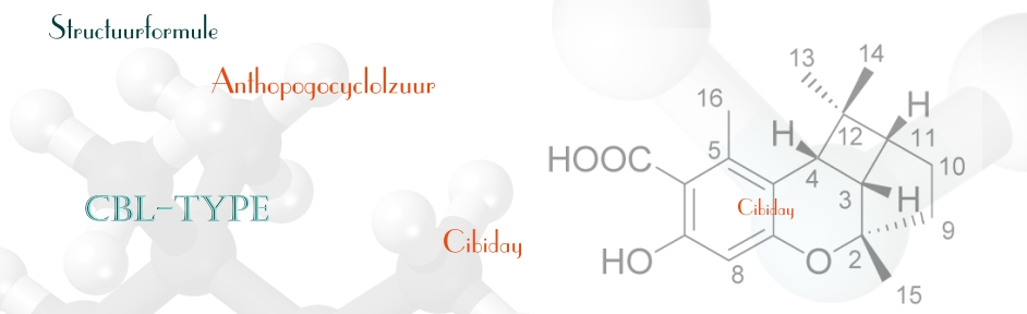 CBL-type Anthopogocyclolzuur Rhododendron