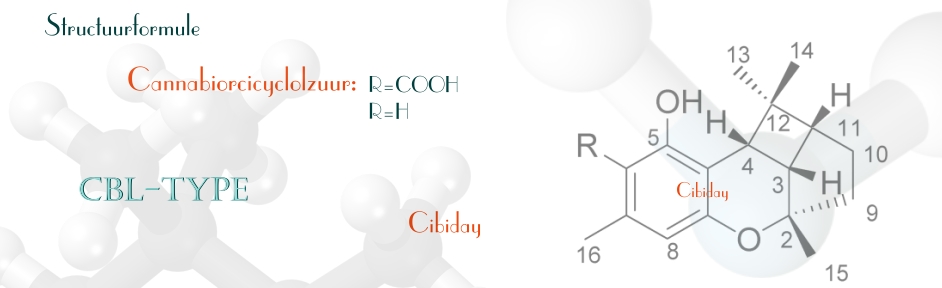 CBL-type Cannabiorcicyclolzuur Rhododendron