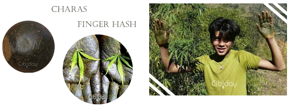 Charas Finger Hash