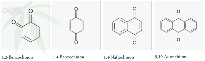 Chinonen