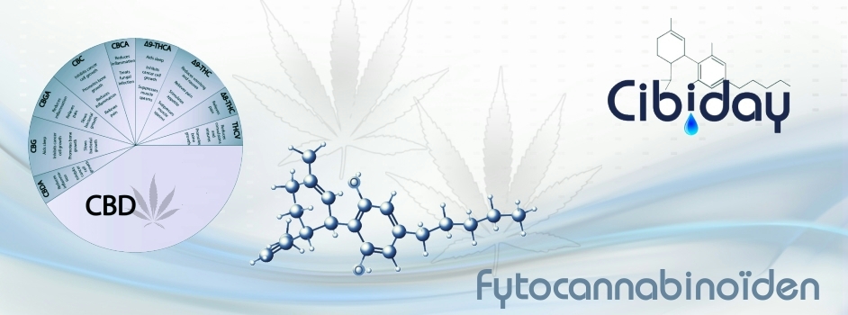 Fytocannabinoiden