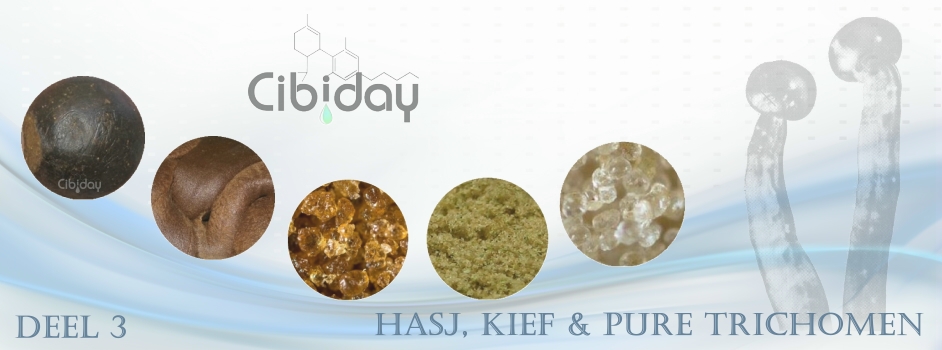 Hasj Kief Pure Trichomen