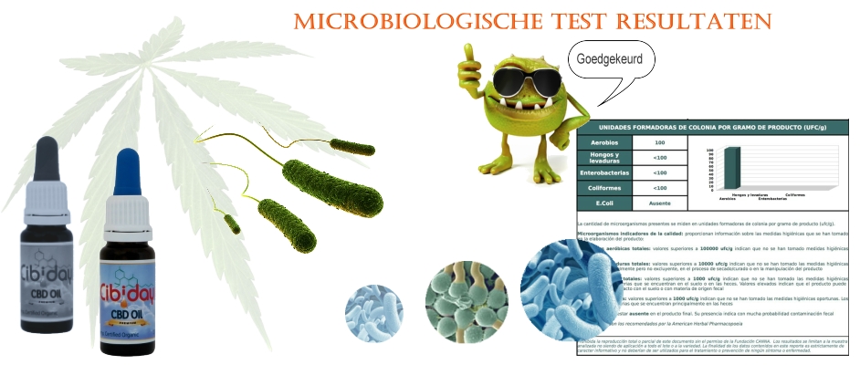 Microbiologische Testen