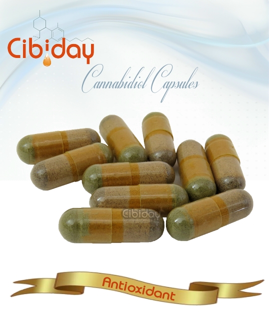 CBD Capsules Antioxidant