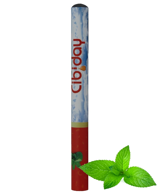 CBD E-Sigaret Mint