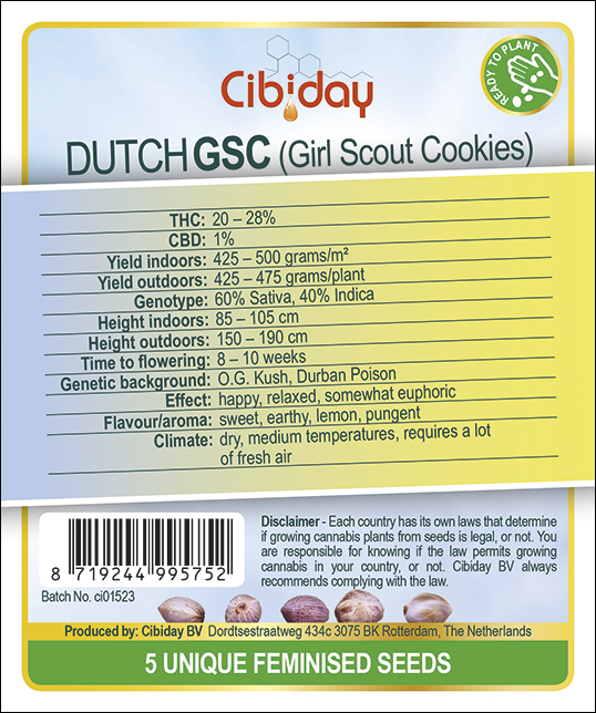 Dutch Girl Scout Cookie