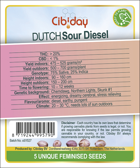 Dutch Sour Diesel