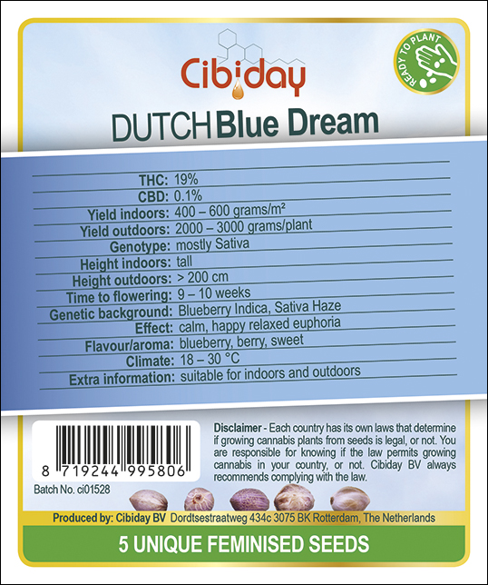 Dutch Blue Dream
