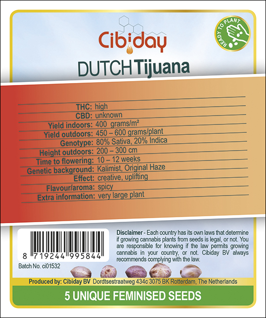 Dutch Tijuana