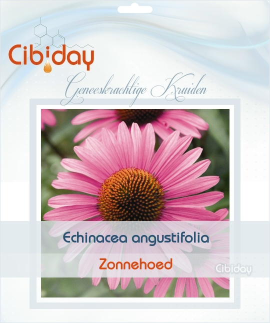 Echinacea Angustifolia Zaden