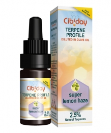 Terpenenolie Super Lemon Haze