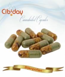 CBD Capsules Bijenpollen