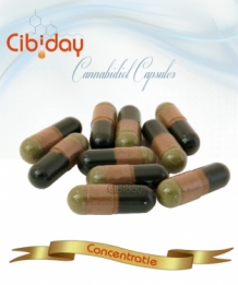 CBD Capsules Concentratie