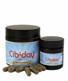 CBD Capsules Pure Poeder Hennepbloemen