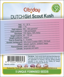 images/productimages/small/ci01529-dutch-girl-scout-kush-cibiday.jpg