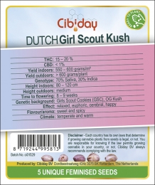 images/productimages/small/ci01529-dutch-girl-scout-kush-cibiday.jpg