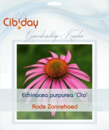 Echinacea purpurea Clio