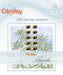Finola CBD Hennepzaden