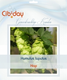 Hop - Humulus lupulus