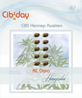 KC Dora CBD Hennepzaden