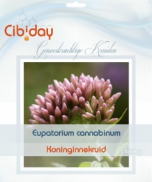Koninginnekruid - Eupatorium cannabinum