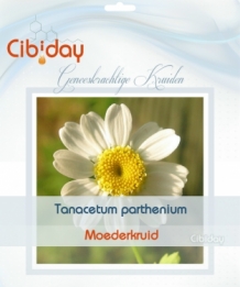 Moederkruid - Tanacetum parthenium