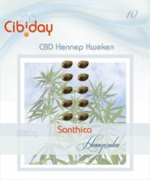 Santhica CBD Hennepzaden