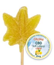 images/productimages/small/thumbnail-cibiday-softlolly-lemon.jpg