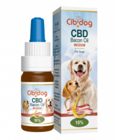 CBD Bacon Oil Dog Medium