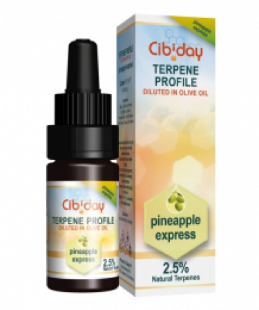 Terpenenolie Pineapple Express