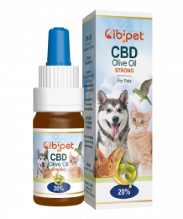 CBD Olie Dieren Strong