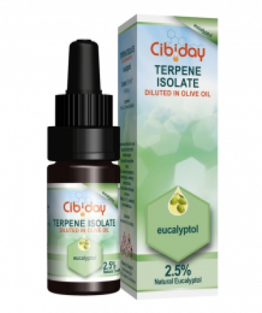 Terpeenolie Eucalyptol