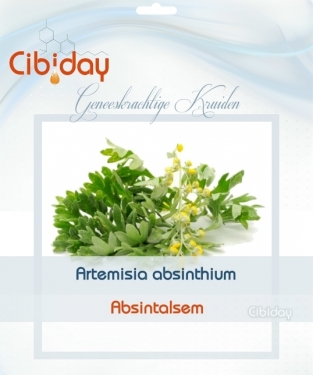Absintalsem - Artemisia absinthium zaden
