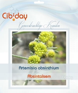 Absintalsem - Artemisia absinthium