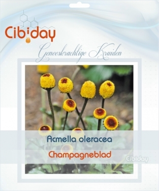 Acmella oleracea - Champagneblad