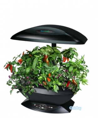 AeroGarden Zwart