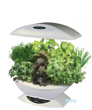 AeroGarden