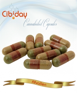 CBD Capsules Afvallen