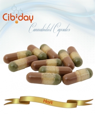 CBD Capsules Hart