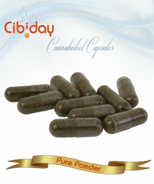 CBD Capsules Pure Poeder