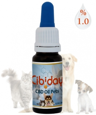 CBD Olie Dieren Laag Gehalte 1%