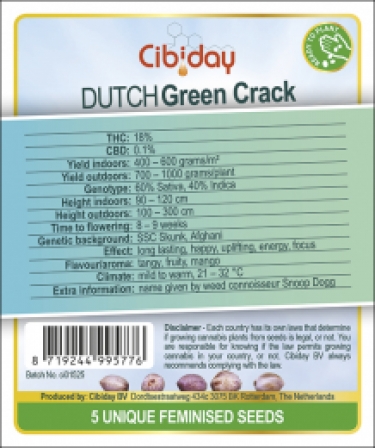 Dutch Green Crack